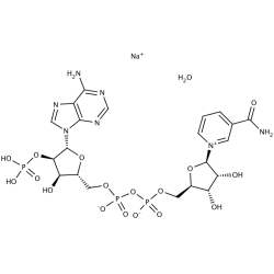 beta-Nikotynamido adeniny dinukleotyd fosforan sól sodowa hydrat [698999-85-8]